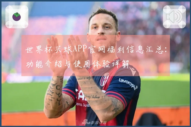 世界杯买球APP官网福利信息汇总：功能介绍与使用体验详解