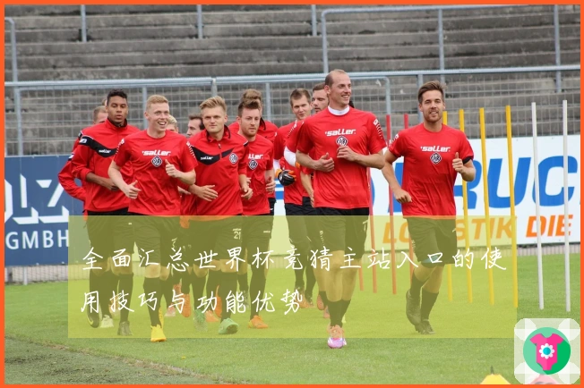 全面汇总世界杯竞猜主站入口的使用技巧与功能优势