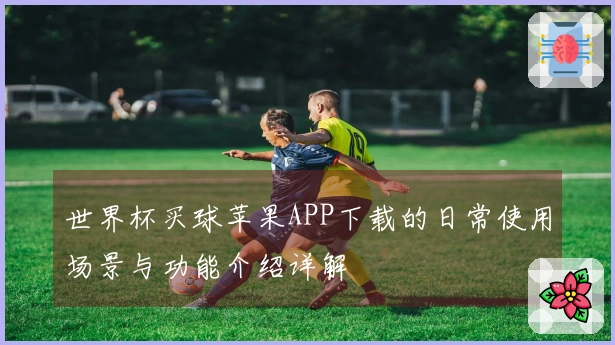 世界杯买球苹果APP下载的日常使用场景与功能介绍详解